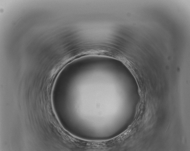 X0000073710337200608101844