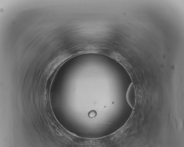 X0000073710338200608101844