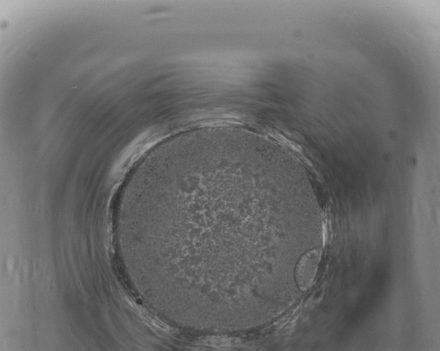 X0000073710339200608101844