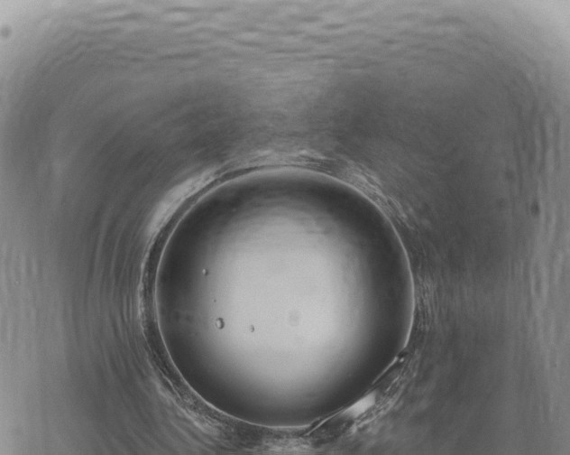 X0000073710340200608101844