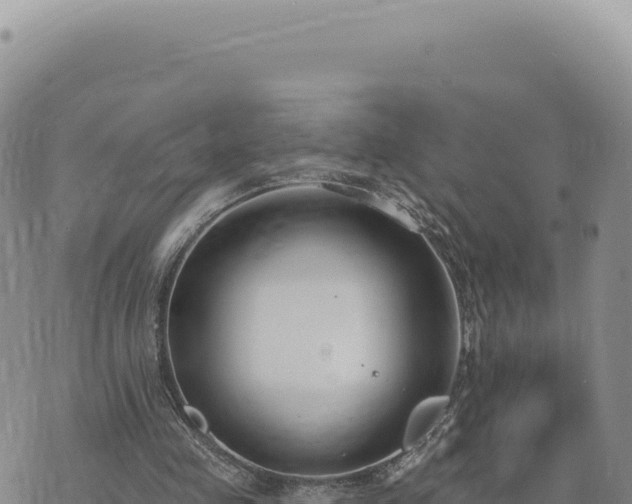 X0000073710341200608101844