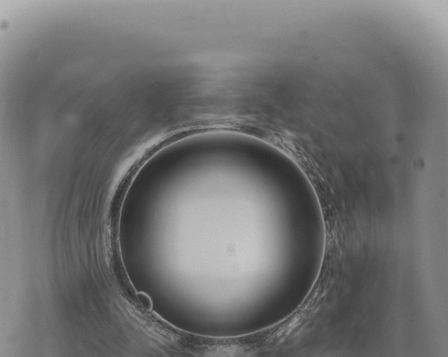 X0000073710342200608101844