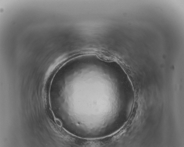 X0000073710343200608101844