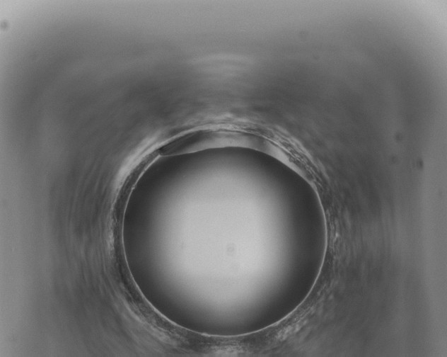 X0000073710344200608101844