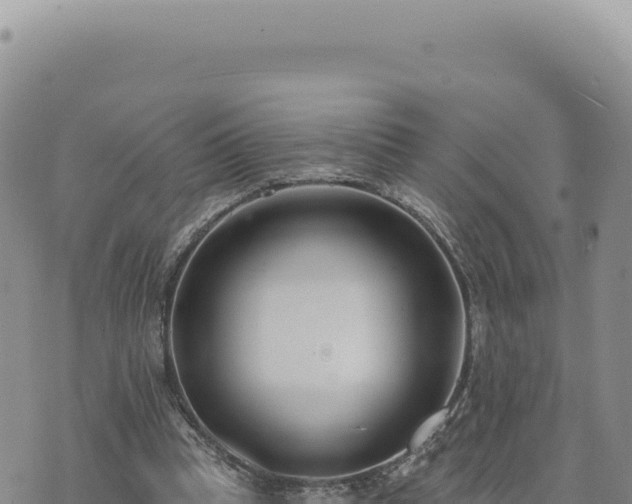 X0000073710345200608101844