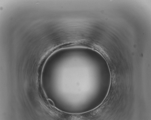 X0000073710346200608101844