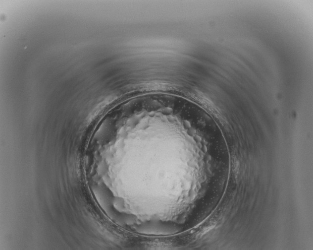 X0000073710347200608101844