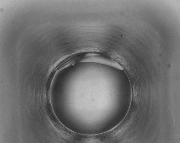 X0000073710348200608101844