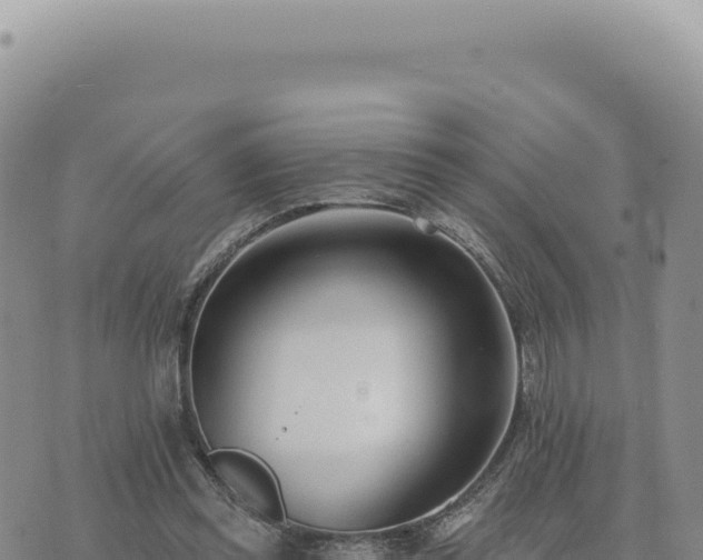 X0000073710349200608101844