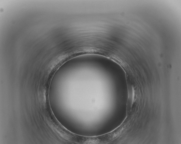 X0000073710350200608101844