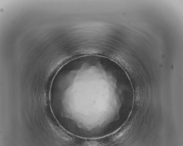 X0000073710351200608101844