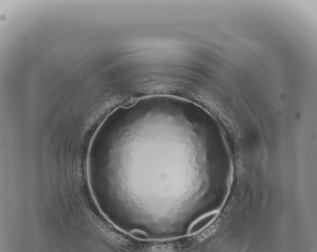 X0000073710353200608101844