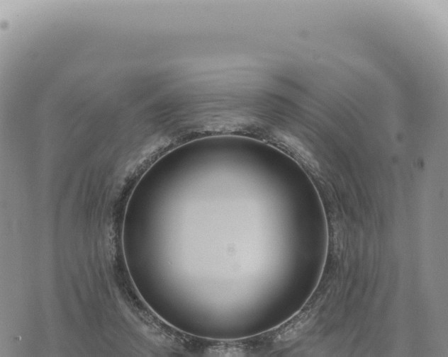 X0000073710354200608101844