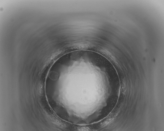 X0000073710355200608101844