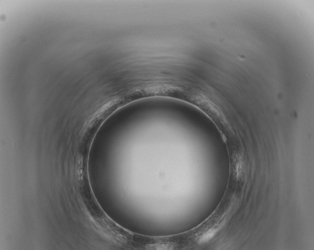 X0000073710356200608101844