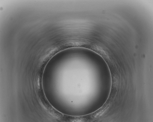 X0000073710358200608101845