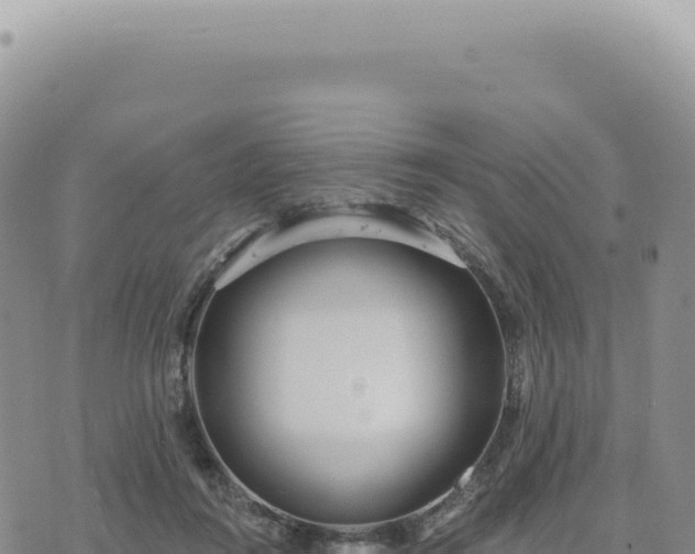 X0000073710360200608101845