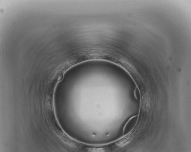 X0000073710361200608101845