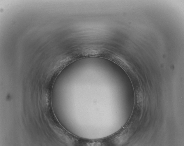 X0000073710362200608101845