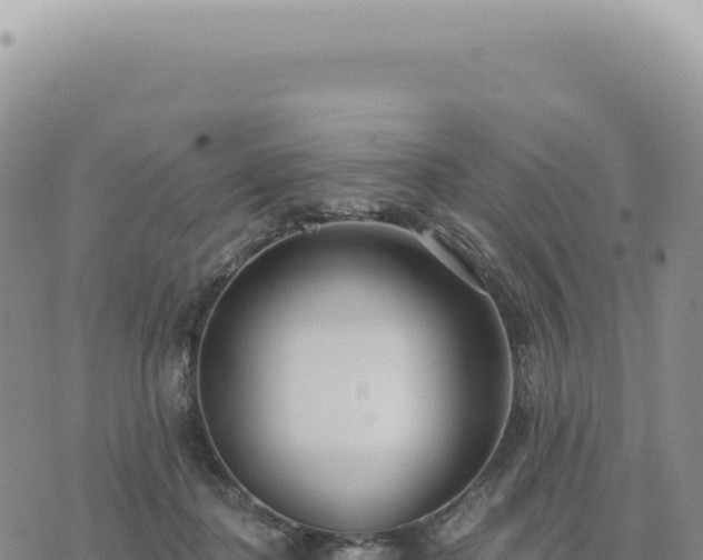 X0000073710364200608101845