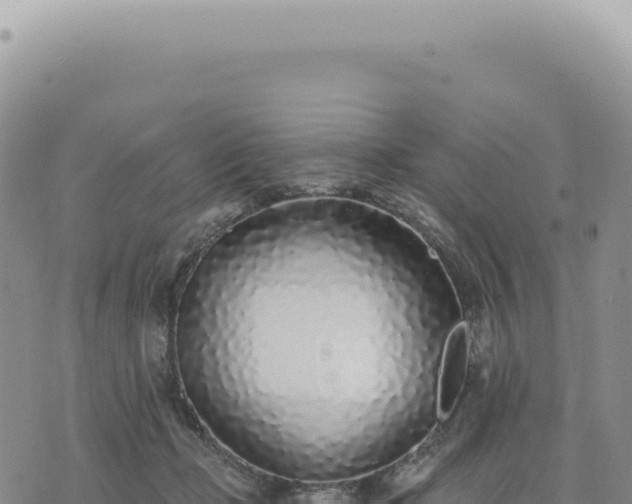 X0000073710365200608101845