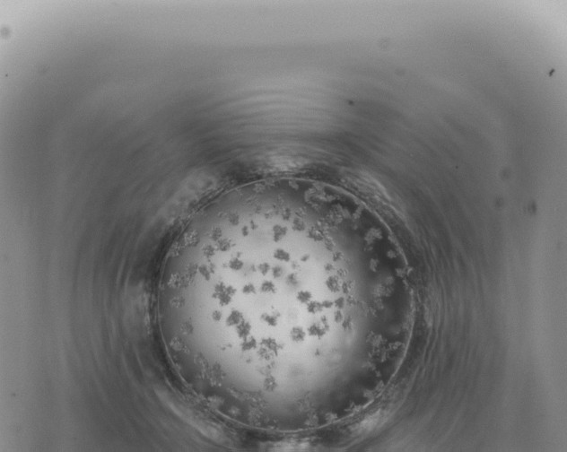 X0000073710366200608101845