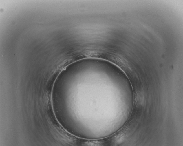 X0000073710367200608101845