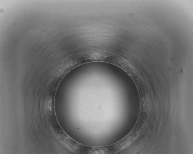 X0000073710368200608101845