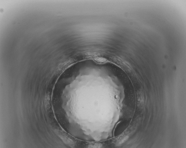 X0000073710369200608101845