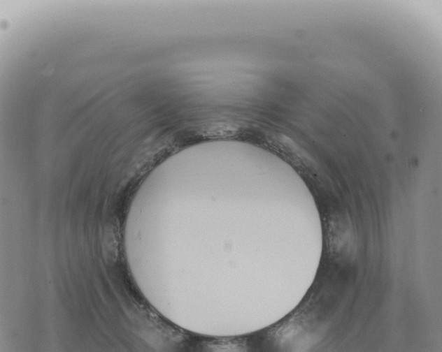 X0000073710370200608101845