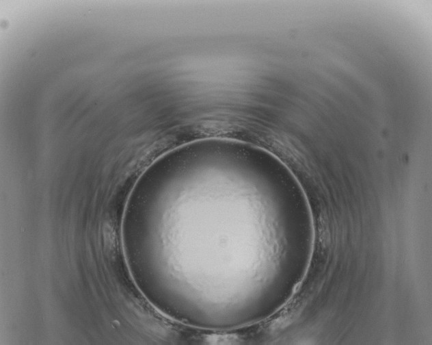 X0000073710371200608101845