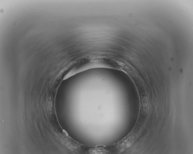 X0000073710372200608101845