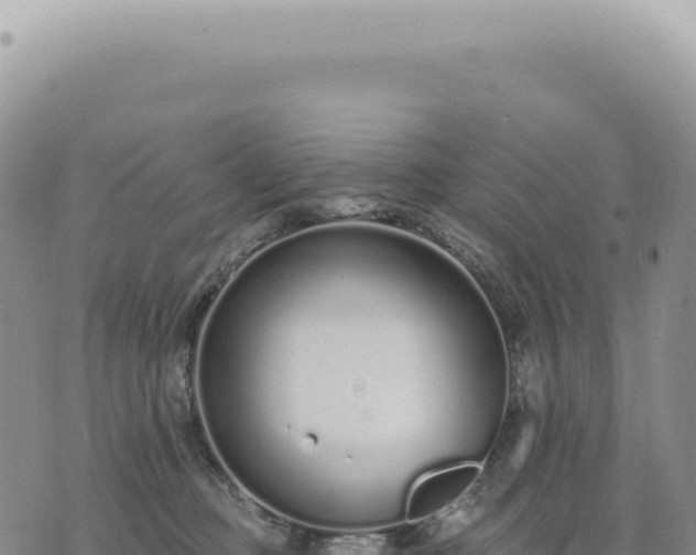 X0000073710373200608101845