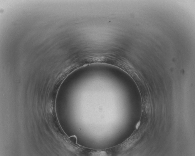 X0000073710374200608101845