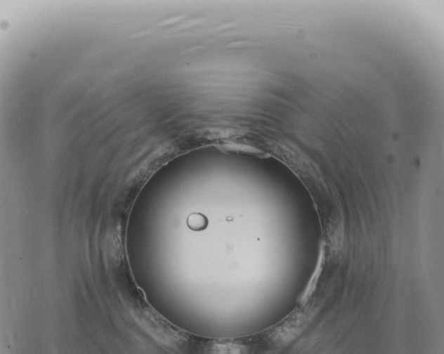 X0000073710376200608101845