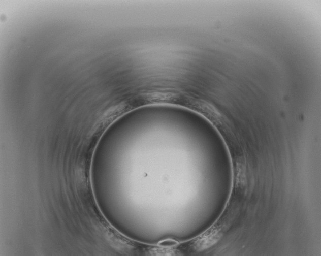 X0000073710377200608101845