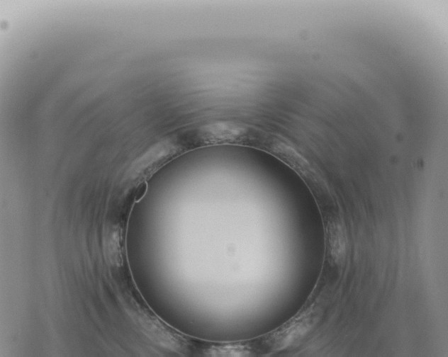 X0000073710378200608101845