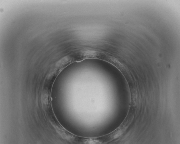 X0000073710379200608101845