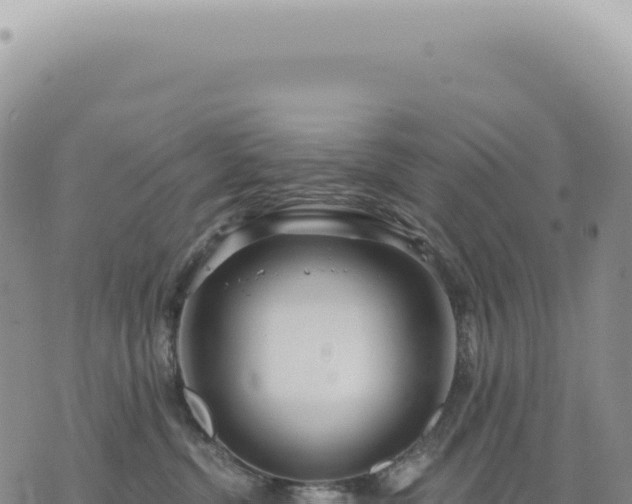 X0000073710380200608101845