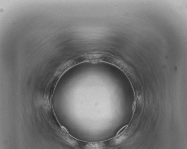 X0000073710381200608101845