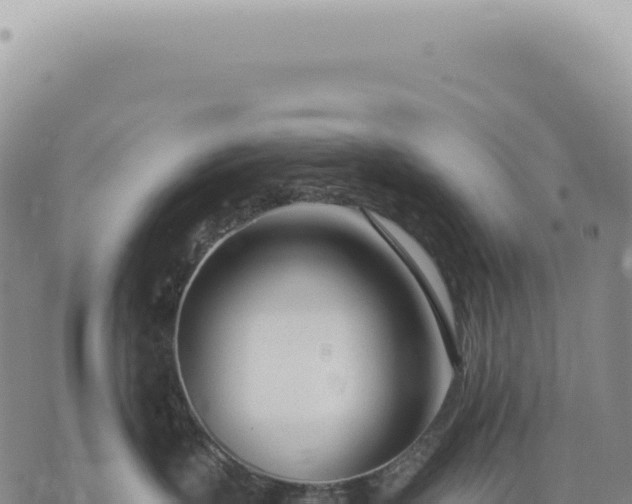 X0000073710383200608101845