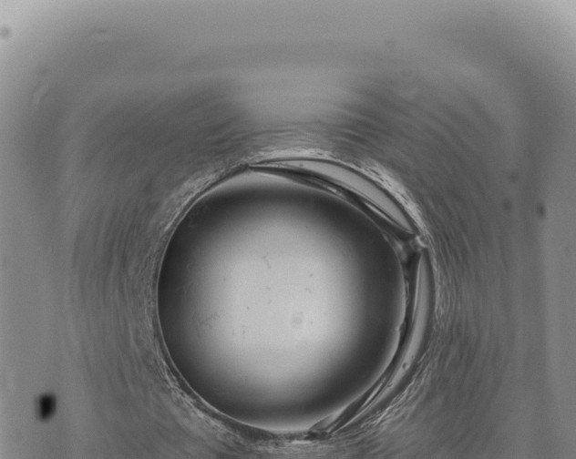 X0000073710385200608101844