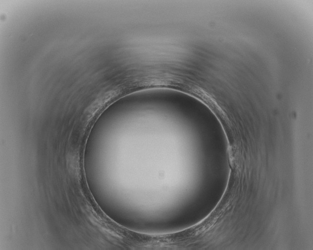 X0000073710386200608101844