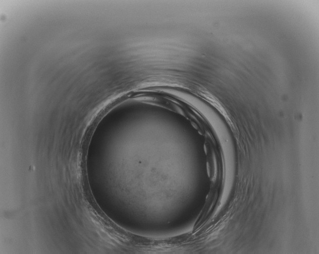 X0000073710387200608101844