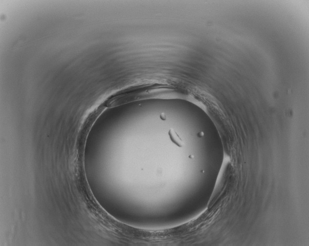 X0000073710388200608101844