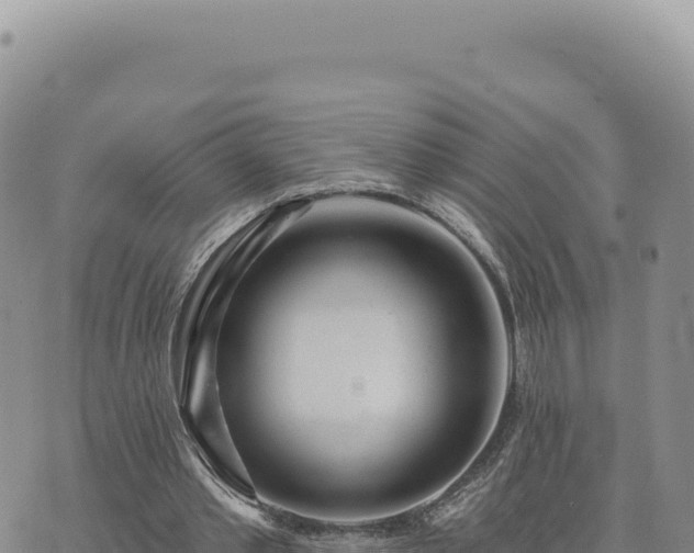 X0000073710389200608101844