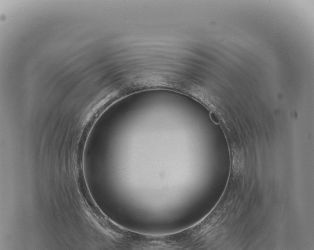 X0000073710390200608101844