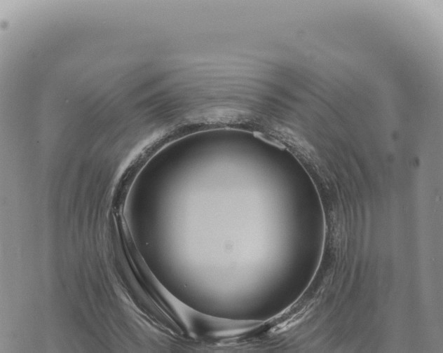 X0000073710392200608101844