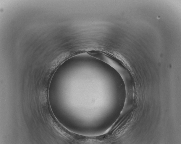 X0000073710393200608101844