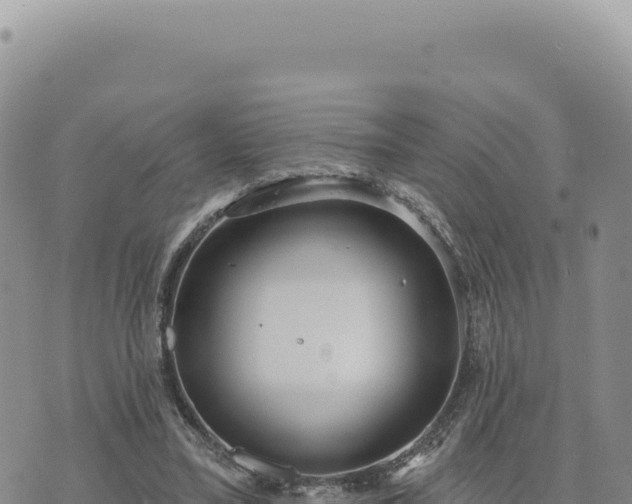 X0000073710395200608101844